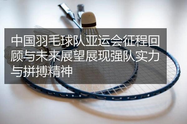 中国羽毛球队亚运会征程回顾与未来展望展现强队实力与拼搏精神